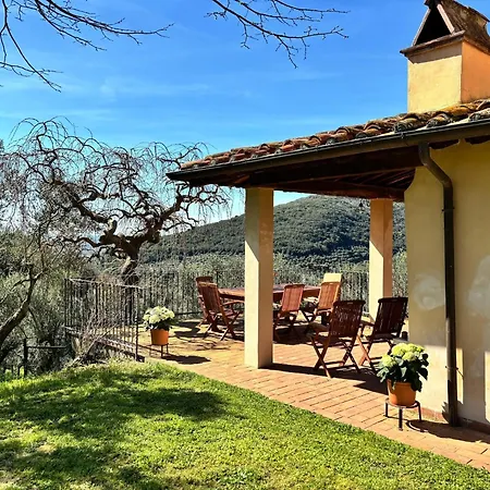Сasa de vacaciones In Tuscany With Pool And Olive Grove *