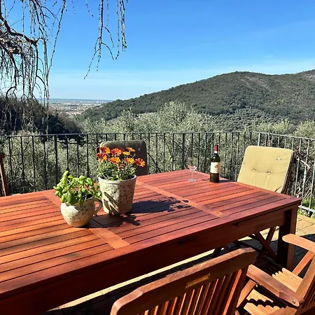 In Tuscany With Pool And Olive Grove * Vicopisano
