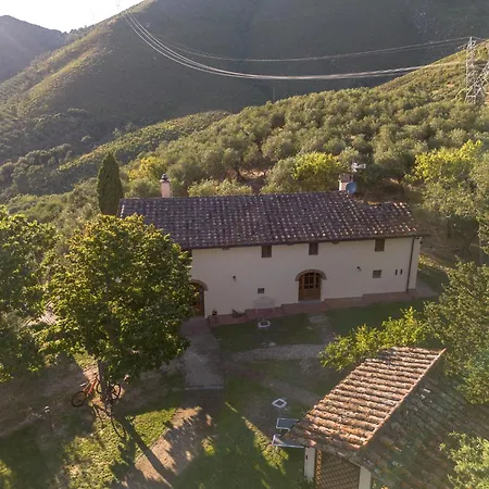 Сasa de vacaciones In Tuscany With Pool And Olive Grove