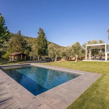 In Tuscany With Pool And Olive Grove Сasa de vacaciones