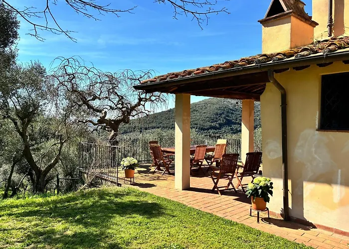 Hébergement de vacances In Tuscany With Pool And Olive Grove *