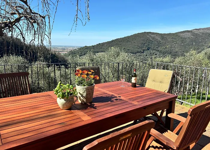 In Tuscany With Pool And Olive Grove * Vicopisano