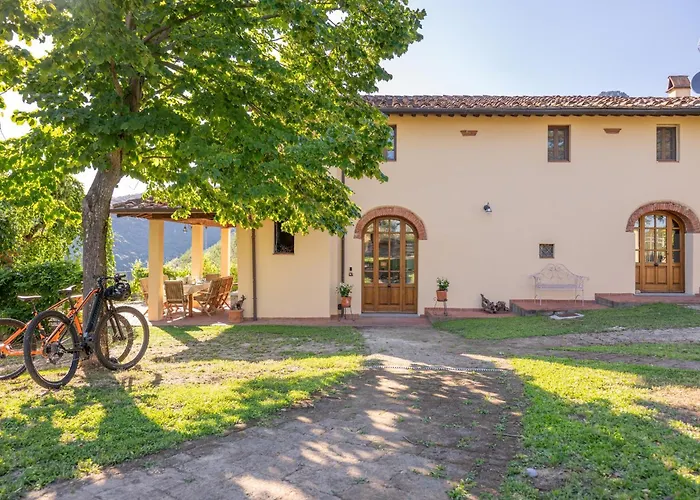 Hébergement de vacances In Tuscany With Pool And Olive Grove Vicopisano