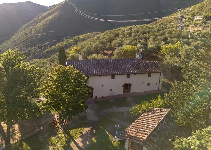 Hébergement de vacances In Tuscany With Pool And Olive Grove