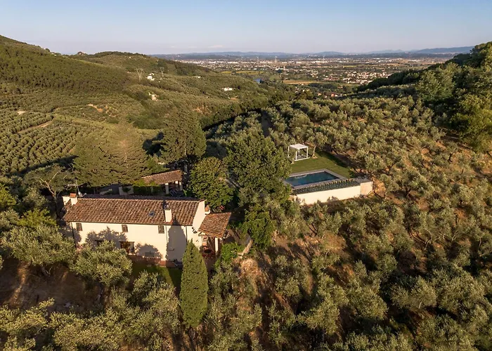 In Tuscany With Pool And Olive Grove Vicopisano