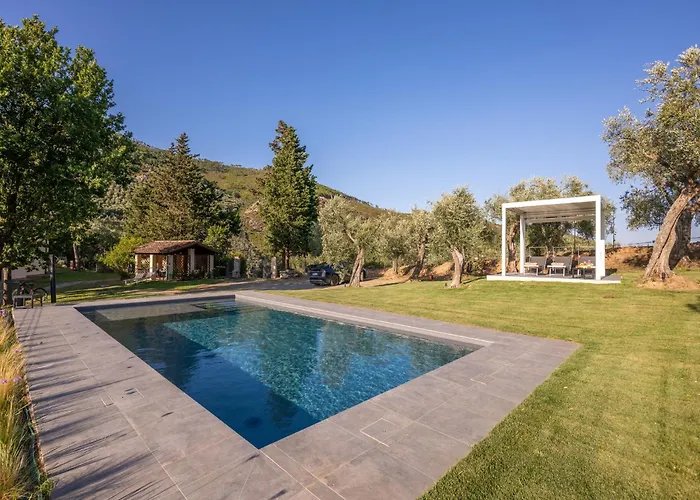 In Tuscany With Pool And Olive Grove Hébergement de vacances